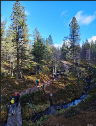 Ihmisiä kävelemässä metsässä